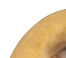 Donut