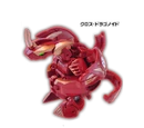 Cross Dragonoid