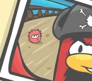 Snapshots Background