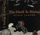 The Dark is Rising