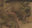 Forests