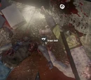 Developer's 666 craft