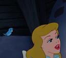 A Dream Is a Wish Your Heart Makes