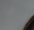 Demi Moore