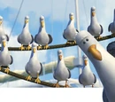 Seagulls (Finding Nemo)