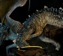 Wyrm