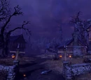 The Elder Scrolls Online