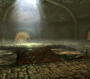 The Ragged Flagon - Cistern