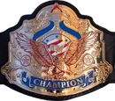 Championships By Promotion