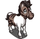 Zebroid Foal-icon.png