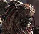 Skorge