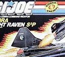 Night Raven