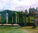 Quidditch