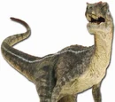 Velociraptor (novel canon)