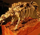 Crichtonsaurus