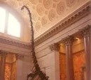Barosaurus