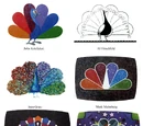 NBC/Others