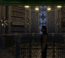 Backgrounds
