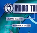 Indigo Tribe