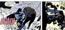 Batman 0394.jpg