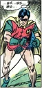 Robin (Dick Grayson).jpg