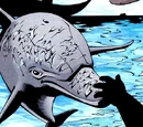 Dolphins