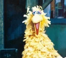 Big Bird Through the Years