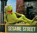 Kermit the Frog on Sesame Street