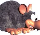 Neek