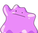 Ditto