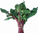 Beet