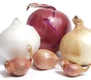 Onion