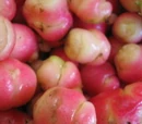 Oca potato