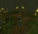 Temple Trekking