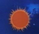 Rao
