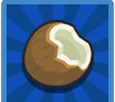 Coconut