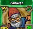Gnomes!