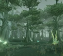 Forêt de Terokkar