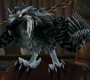 Hawk
