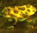 Huge Toad