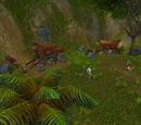 Rebel Camp