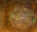 Guía de The Legend of Zelda: Ocarina of Time
