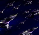 White Star fleet