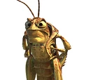 Hopper