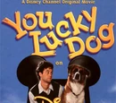 You Lucky Dog
