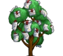 Giant Diploma Tree