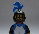 Crusader Knight