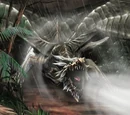Kushala Daora