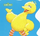 I Am a Bird