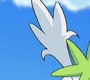 DP169: Pokémon Ranger: Heatran Rescue!